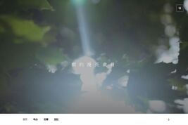 树的漫长岁月