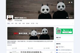 熊猫不是猫